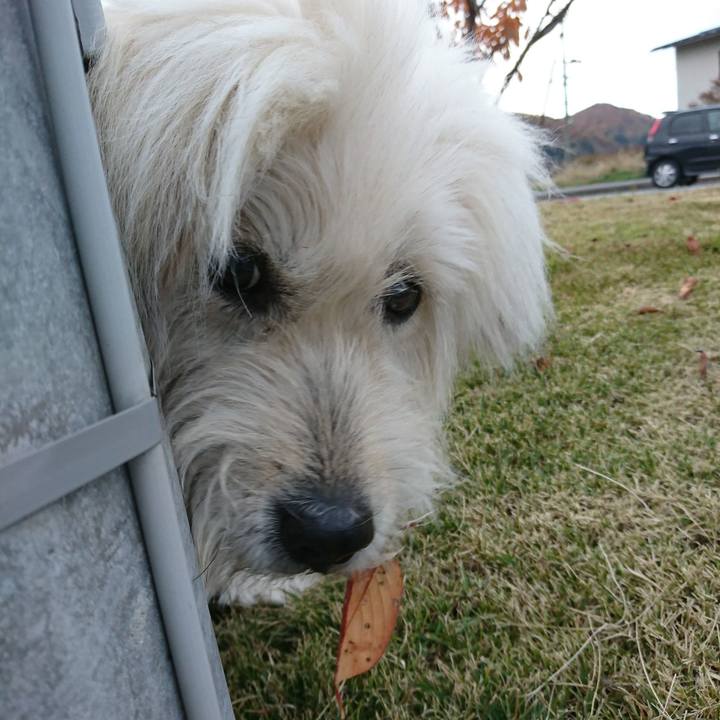 4515abf8 cb78 469e 9551 9060bef51199 1574062501233