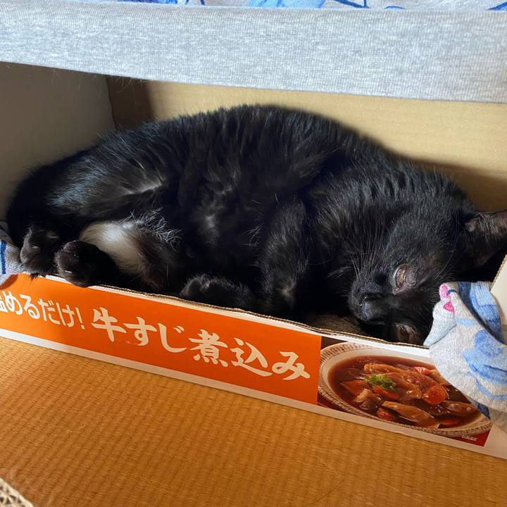 4515d14e 469a 431a a7df 83237dd8b744 1631090732010