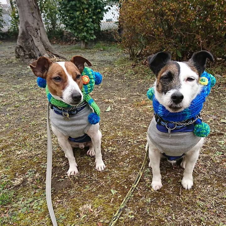 4515d71f 949c 48fd b429 c6c5f4bb1e69 1580018217679