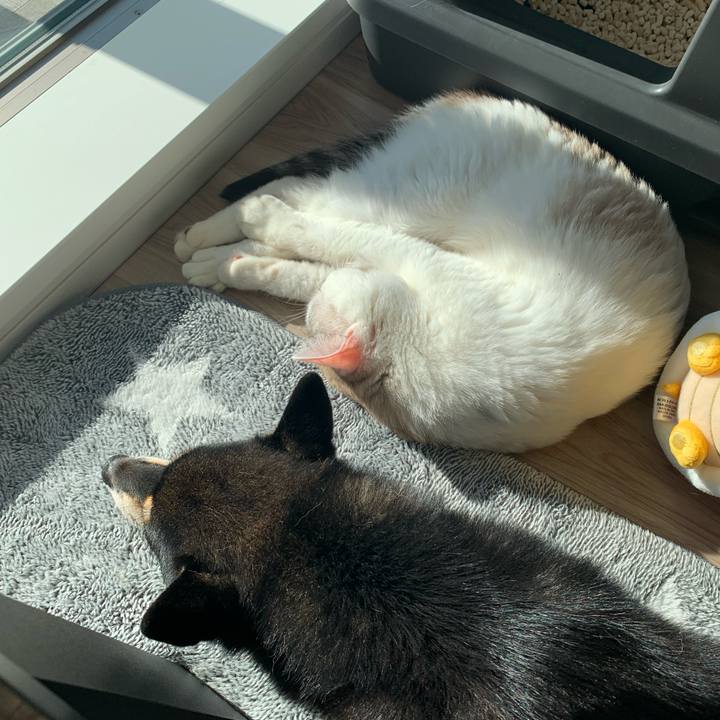 4515fbee 41b2 473c 823d 11387e717195 1636597335735