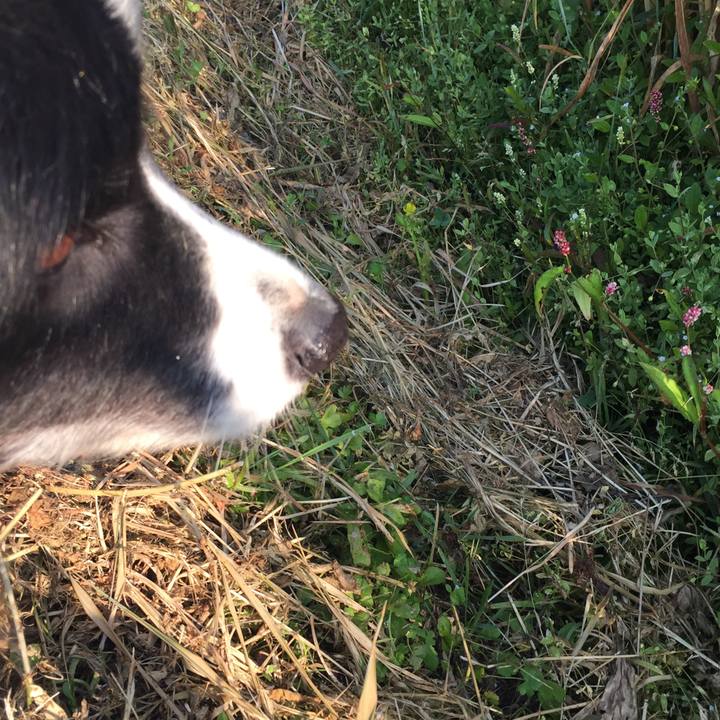 45160cdb 943f 4583 9e84 ad2d33c405af 1557528983373