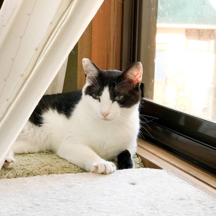 45161691 5f9c 4d8d 951f 5836c38f6071 1531445264478