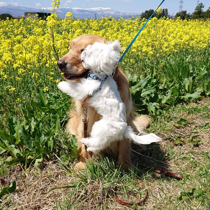 45161ad4 aff7 4eac a0f0 9a612192b130 1556509114990