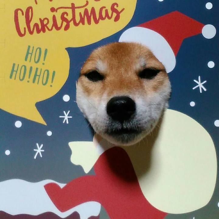 451621e8 1e06 44db 893a a83fdeaad531 1543668848458