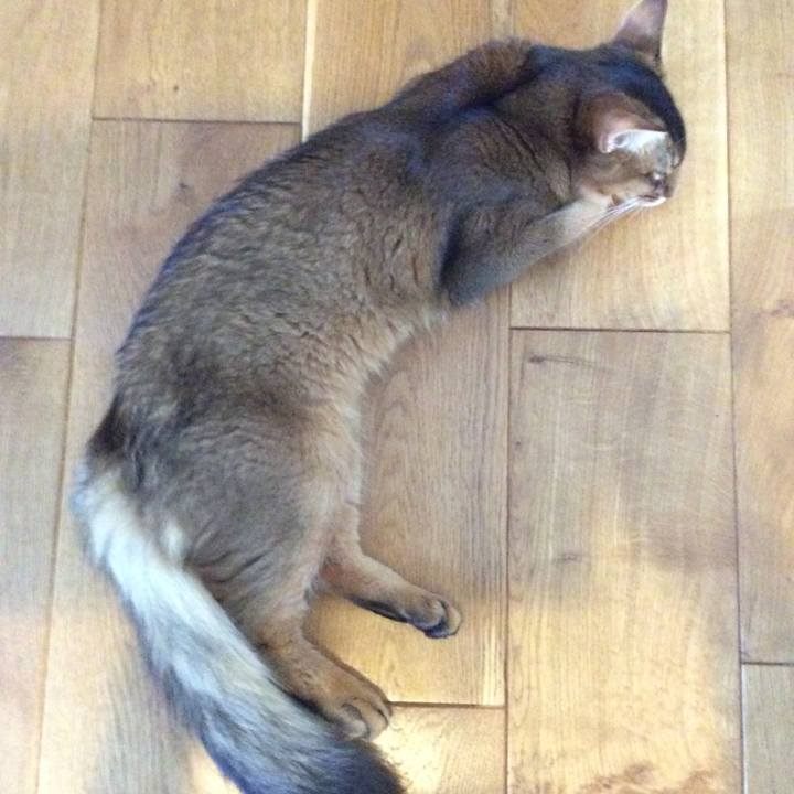 45162594 0d5d 462c aa0d e3877500bb80 1565147564001