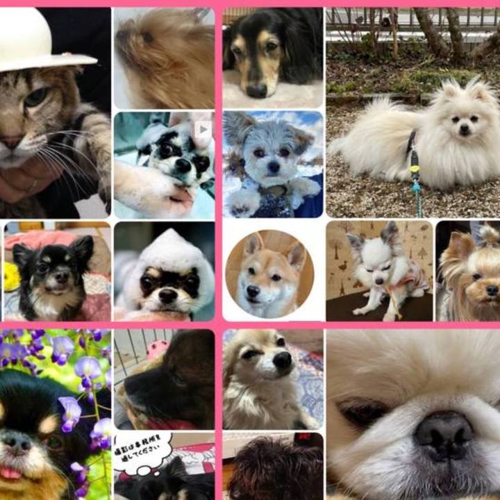 451660ca d163 48f8 956d f5cb4be06a54 1676872935861