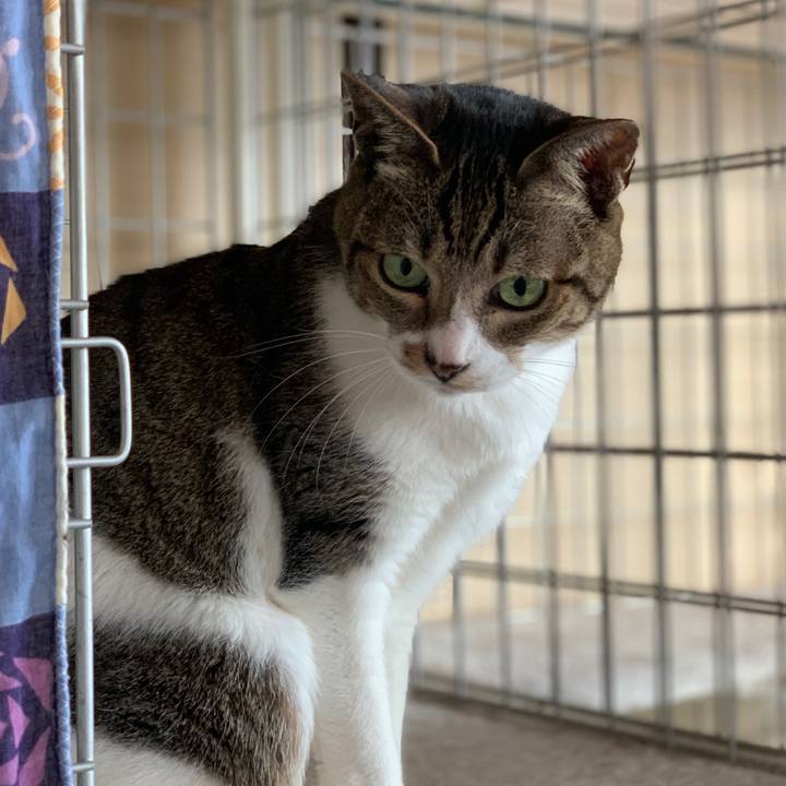 4516fde5 2abf 4fa1 81c4 8decc1b36d72 1581382817895