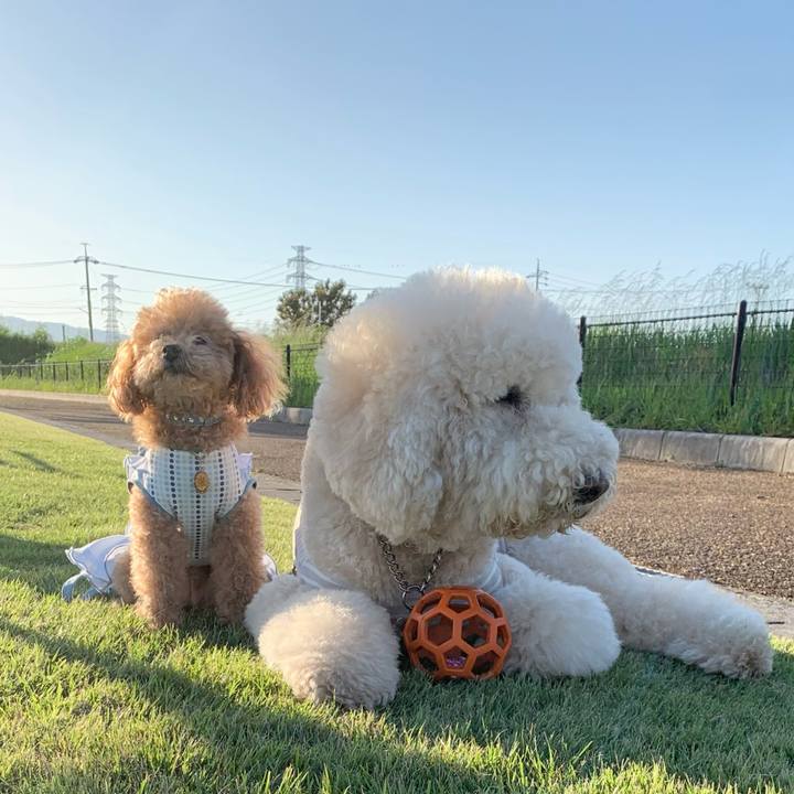 4517178e 28d0 431c acfb 5a1041b77047 1760759428898