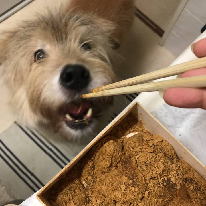 45179a35 993c 4942 af13 1a493e6a01e7 1634003629970