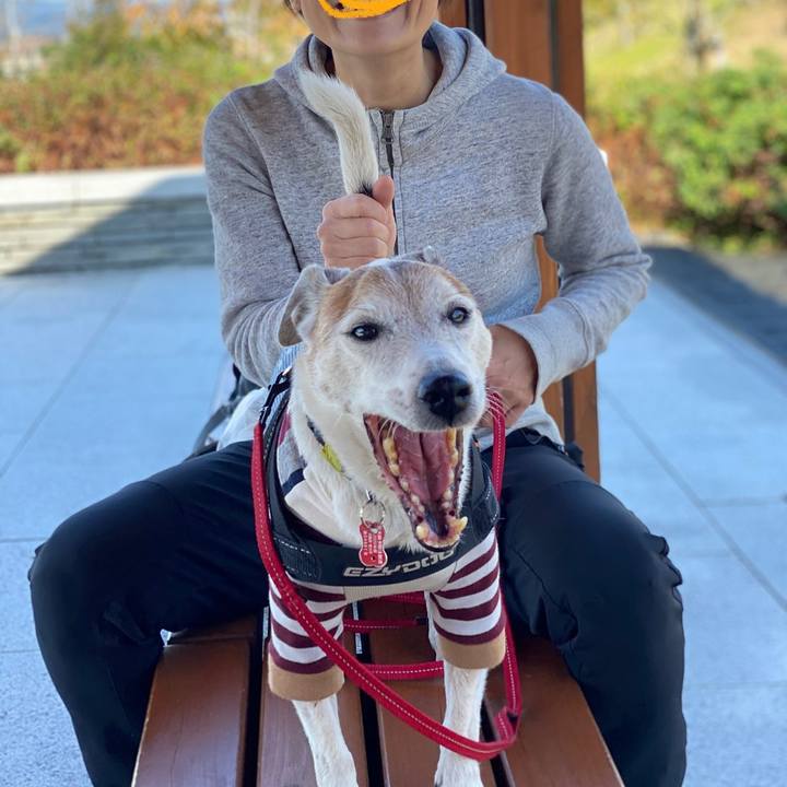 4517b1a9 b957 4e1e b0e1 915c31d1da78 1604400528299