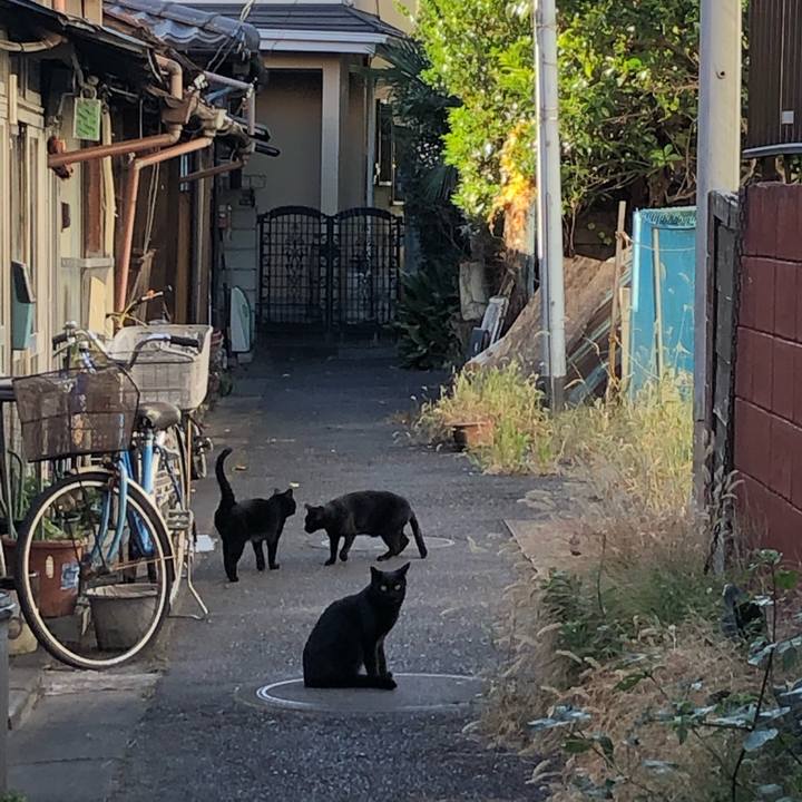 45182221 a0bc 45a2 bbc2 e3f20dc7b4ab 1609362513494