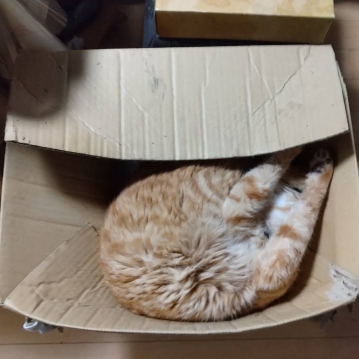 4518382a 046a 4eb0 a600 49a0664fd4ca 1686786967009