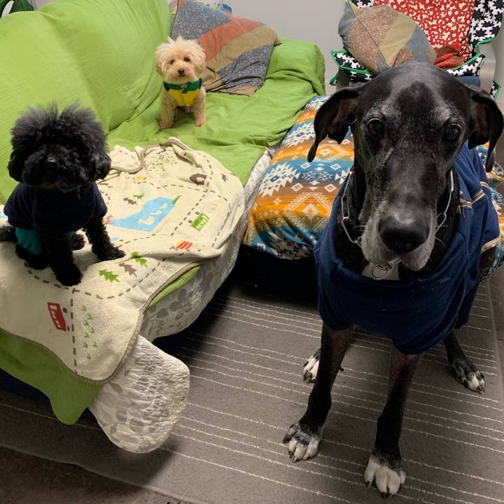 45185c76 3829 4f38 a910 25c04fde8469 1575585812694