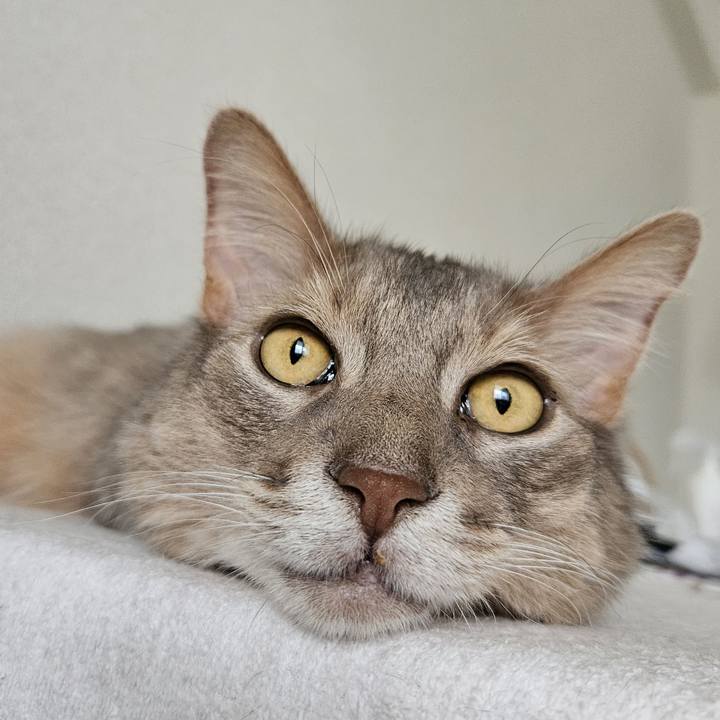 45186b9f 7524 40e8 b54d 33c248142c8a 1719207582702