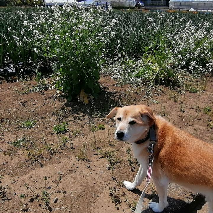 451886a5 e830 45f3 a7ef 111dc4389ec0 1588123560387