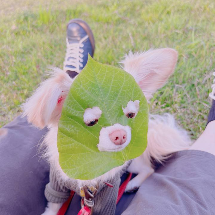 45188e48 2d26 4568 848c 2195f6ee15fd 1681988156885