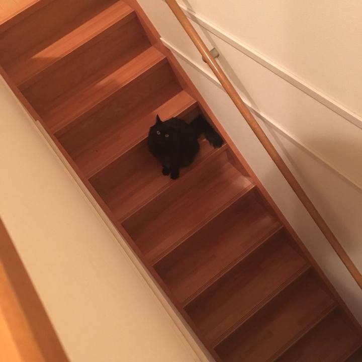 451891ad a6eb 4c90 b88e b146ce23c90e 1517403036489