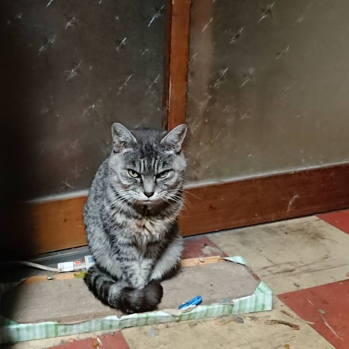 4518b0af d5d6 4752 8022 687bd1e8edd0 1573935588794