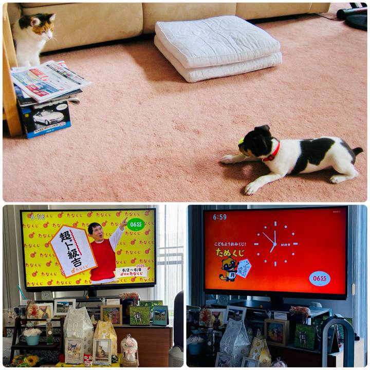 4518cabb 99e2 40e7 b35d cbec8c9b457f 1748817151109