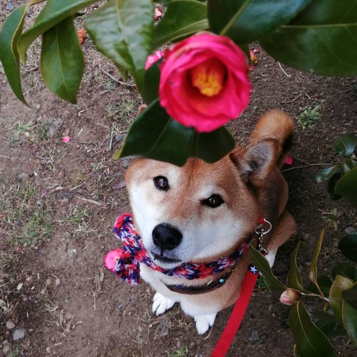 4518f97b 2547 433c a082 073544c57006 1645252430742