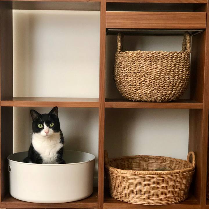 451920fb 33fb 41d8 bc7b 434e12b7eed3 1569134884814