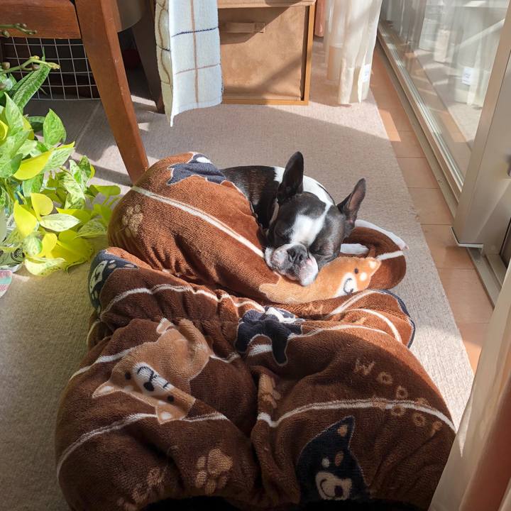 45197d3b ef5e 46c4 a7bc 46154d11c67e 1610940820707