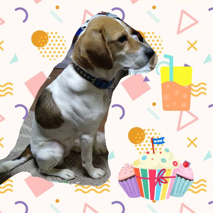 4519949c df8a 4c0f a566 0e0e673cb1a8 1617518525799