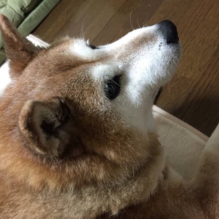 4519a14e 3ddd 4e7a be38 953a6e235c87 1559379833810