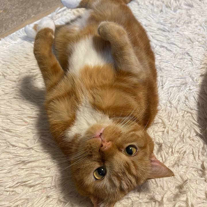 4519b89f dc7d 438a b7fc a9ae1d4994eb 1614603717015