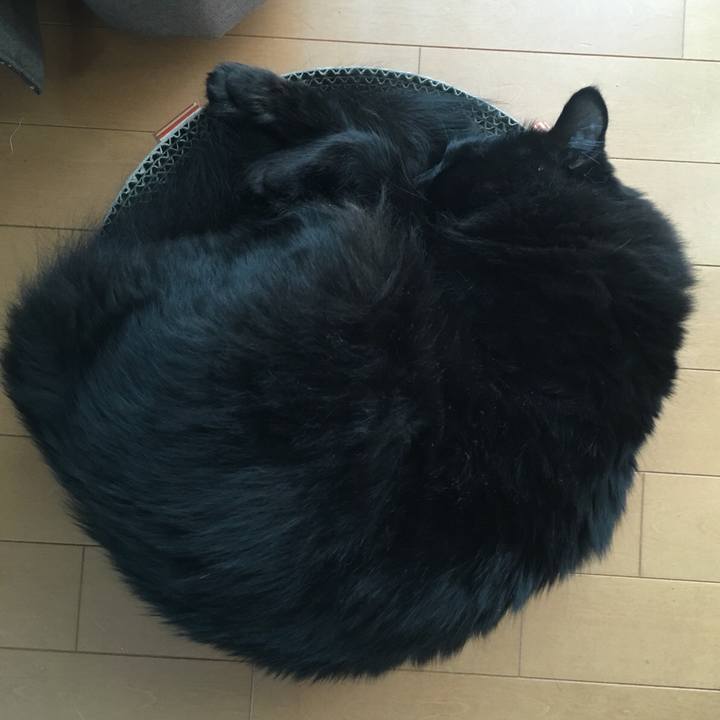 4519c2a7 1908 4d62 9251 d5808478ddd7 1530160870217