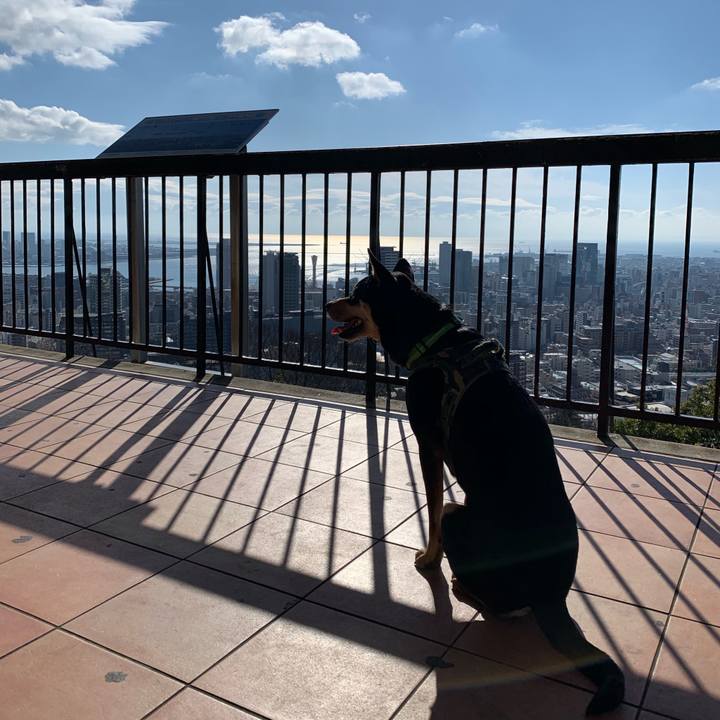 4519c822 4792 42ba 9e22 e31ecb7913c5 1546417697038