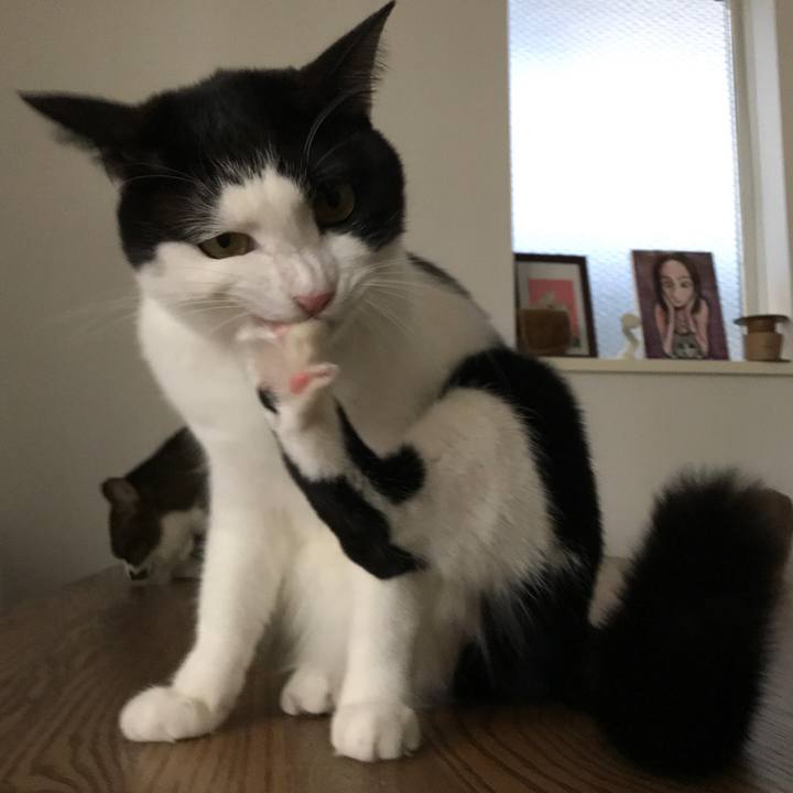 451a0320 beaa 4619 b7b2 a80b3b3eb5a6 1510971733058