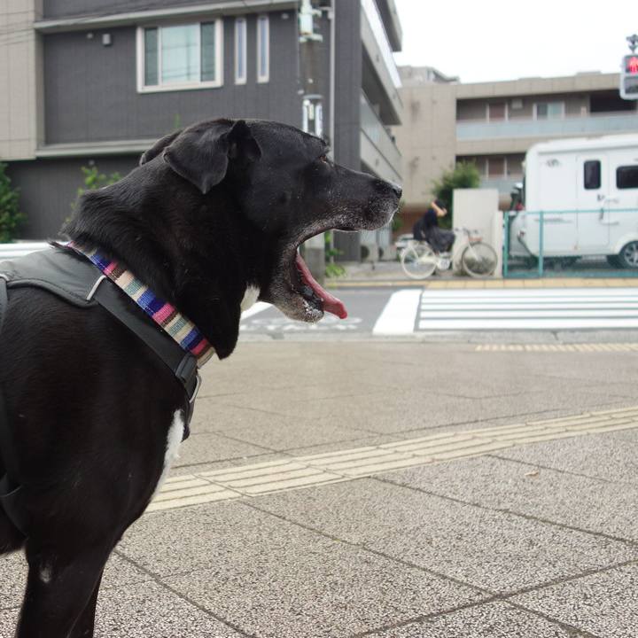 451a053c fd73 4ce0 b280 bbc7e3d0706e 1664411209996