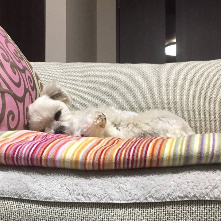 451a05d1 44af 4d73 83fa 331f507618e3 1515151808836