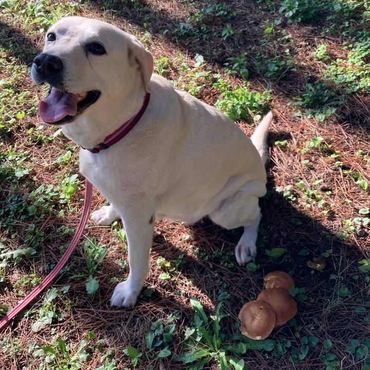 451a0e44 845d 4b9c bb2f b98e9f8dd5ef 1728261384383