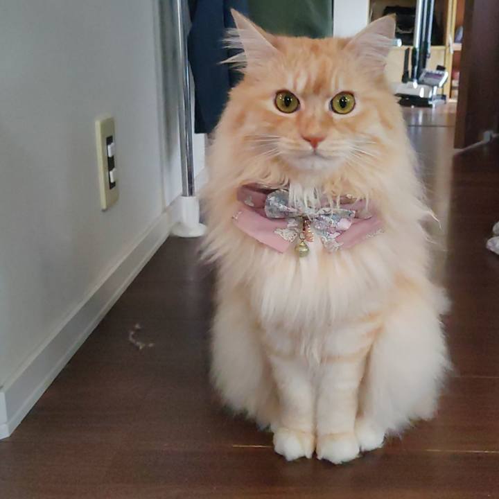 451a4229 6efc 42ee a389 05e28f993b77 1719818685589