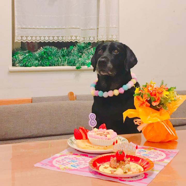 451a4506 3dee 4a82 963c 5f8bf9249ab4 1511785970962