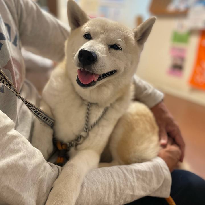 451a4b1d 489a 40a0 86f3 b548b3033d9d 1633677511072