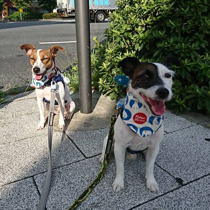 451a7993 152d 4fd7 835c f30da090df76 1533940007847