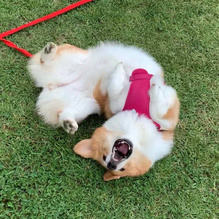 451a86f3 b3a4 4ea0 b369 5651663ae51e 1624326049394