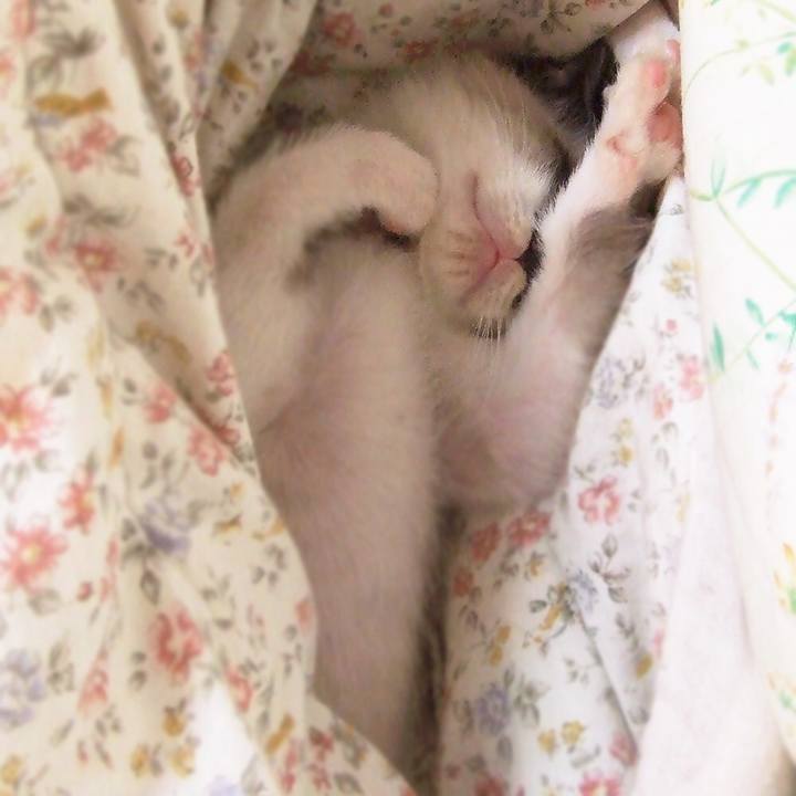 451a8e03 1991 4ce5 a8b3 f1fef1f05052 1535584510570