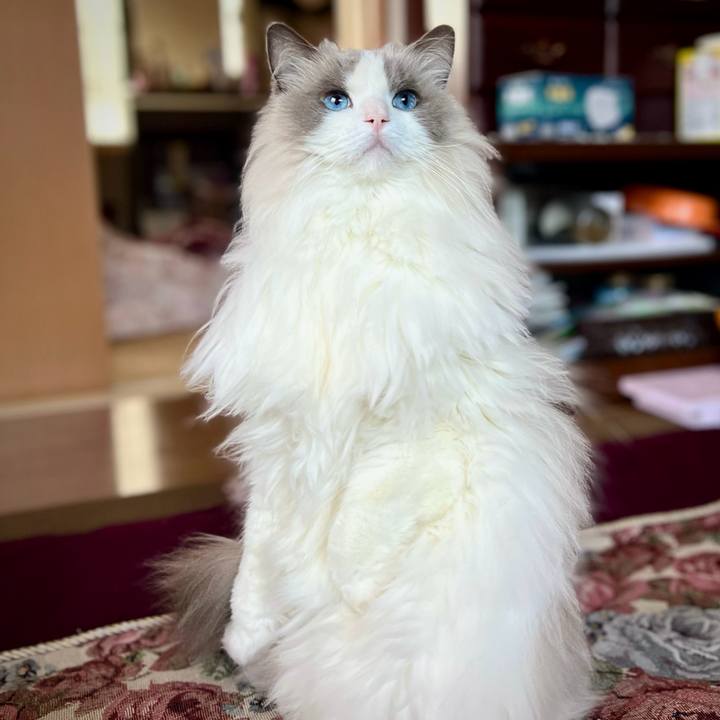 451a9d59 1f1a 4448 9aab 855cd0adc9c0 1738311209519