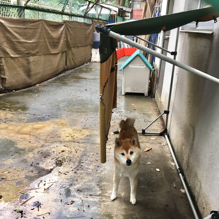 451ab838 abe5 45b6 911c 86ee2dc64605 1562057949008