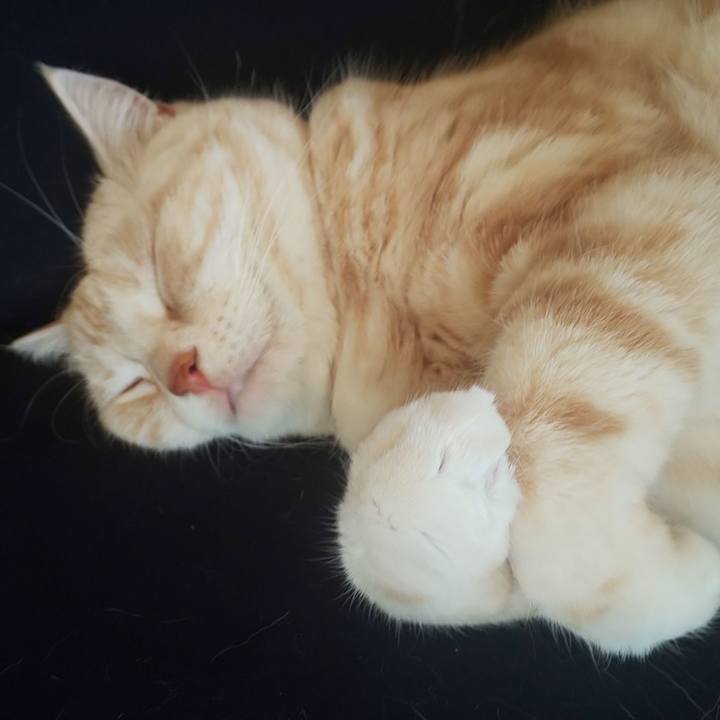 451ad188 b187 4152 9e3f dec3c3203980 1555896570076