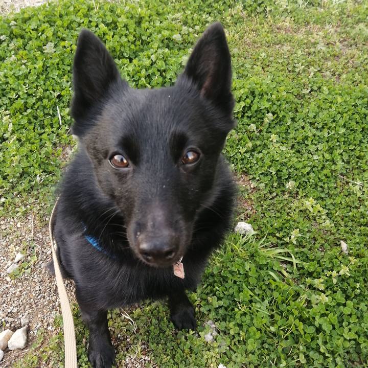 451adfde 07a3 4cbf 8e8e b888530063cc 1615933533807