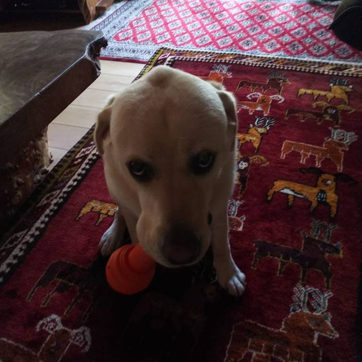 451b2ca7 ea3c 40e8 a6ef cbe087ab5dc4 1536131645388