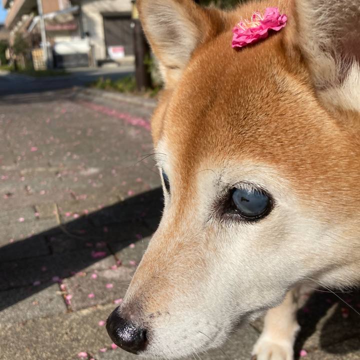 451ba970 69cf 49f1 8443 641f120339f9 1705992109400