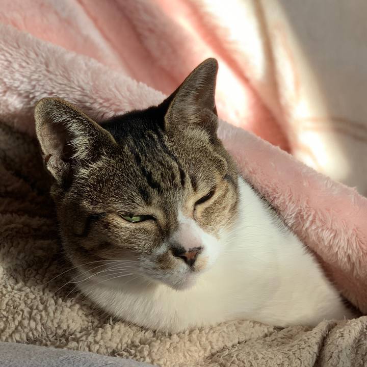 451baa37 88a7 4536 8b36 f6743d3cbebc 1578964200077