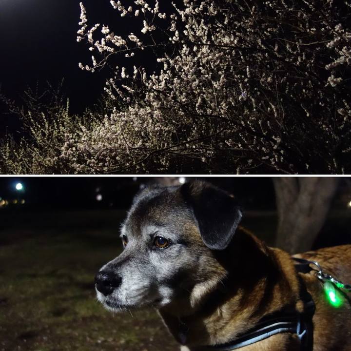 451bdf43 1a2a 44a7 8148 1e8174087e58 1552143987129