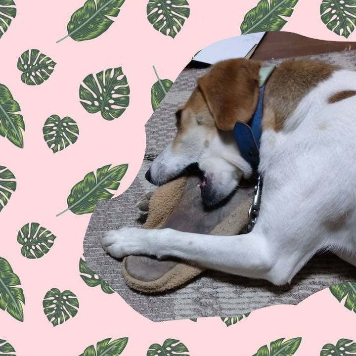 451c19ca e059 4fa8 ad43 80525674f86c 1616403193801